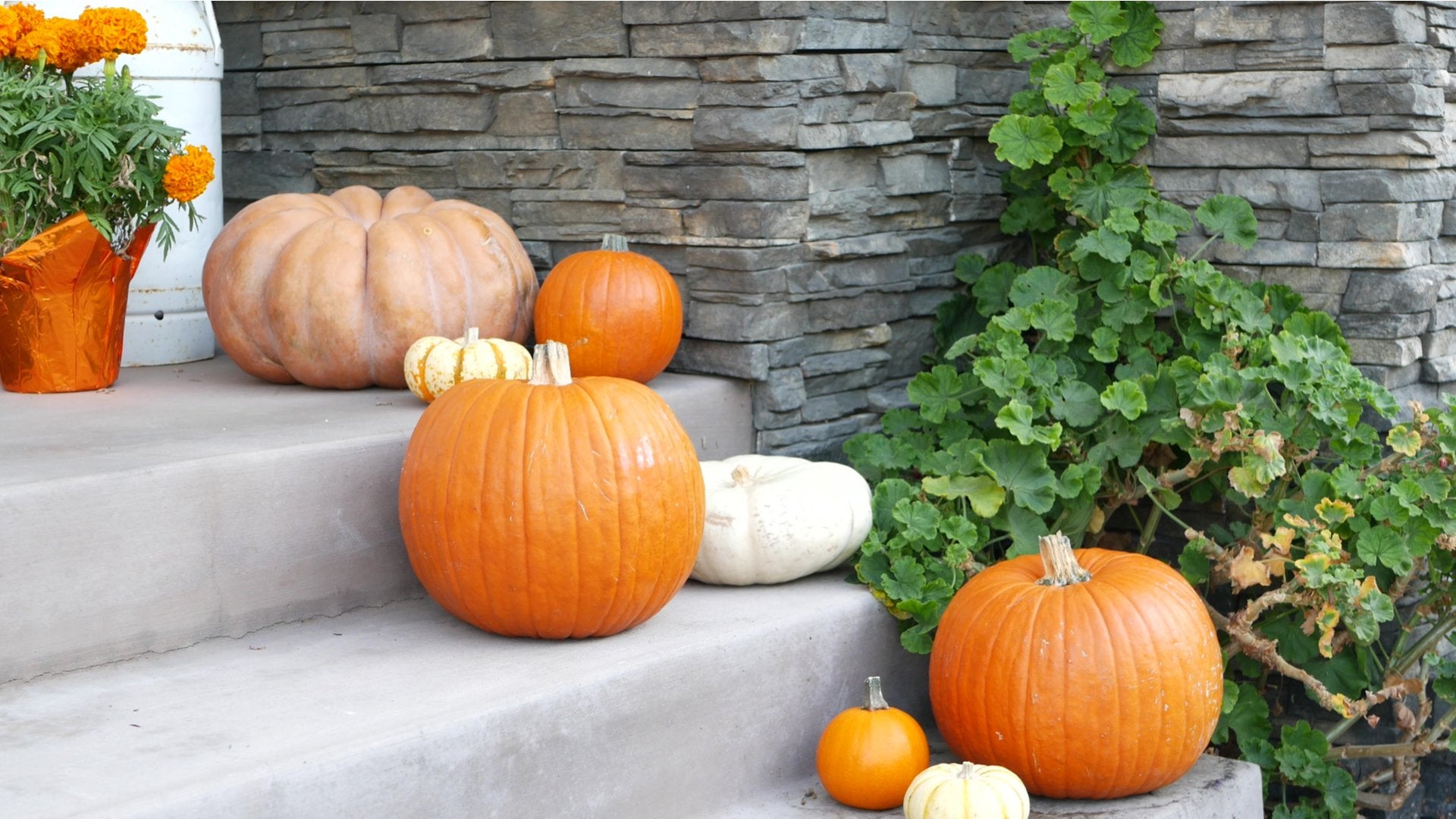 Holiday Decor - Finders Keepers Furniture
