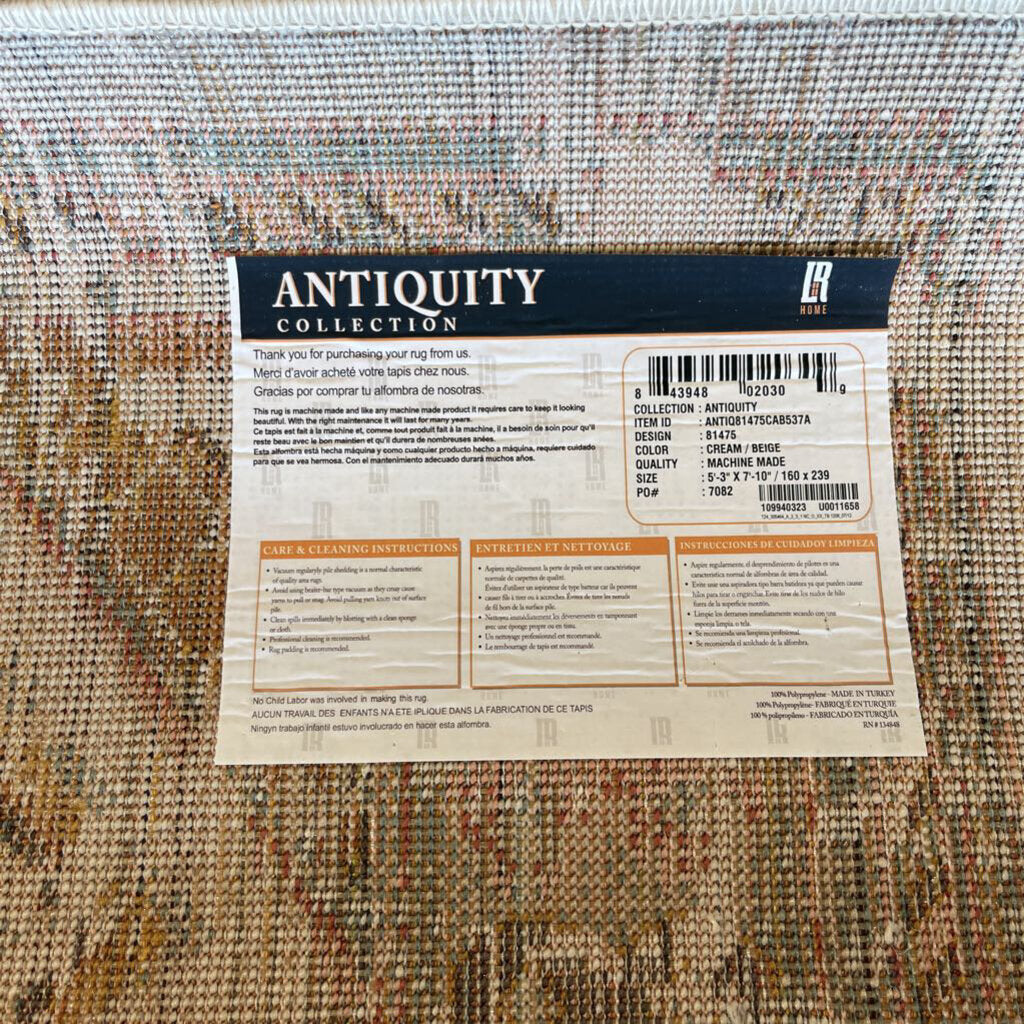 Anica southwest Geometric Indoor/Out Door 5'3"x7'10"
