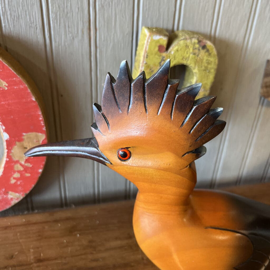 Birds Of Africa Hoopes Bird Hand Carves