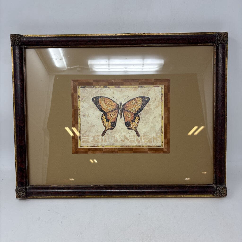 Framed Butterfly