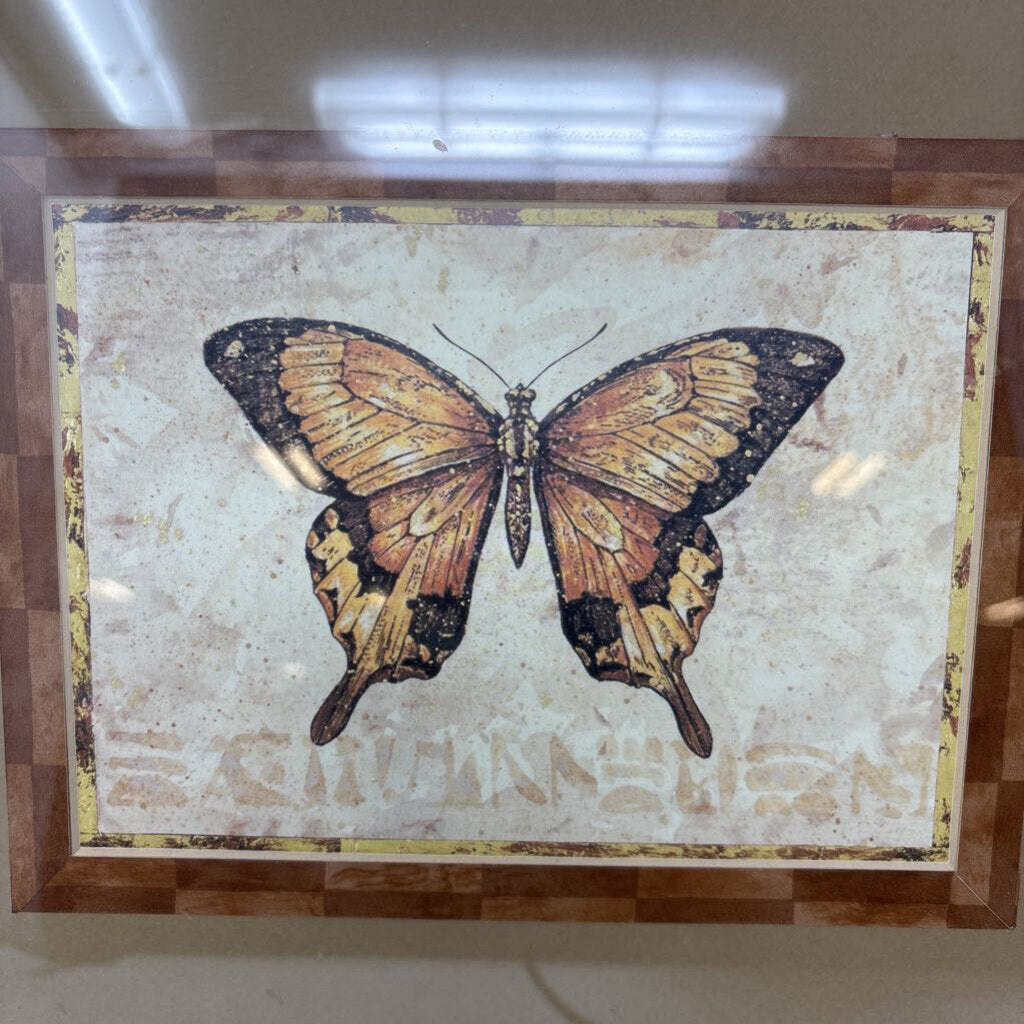 Framed Butterfly