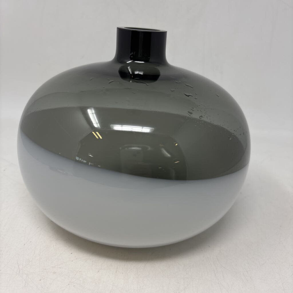 Glass Bubble Vase