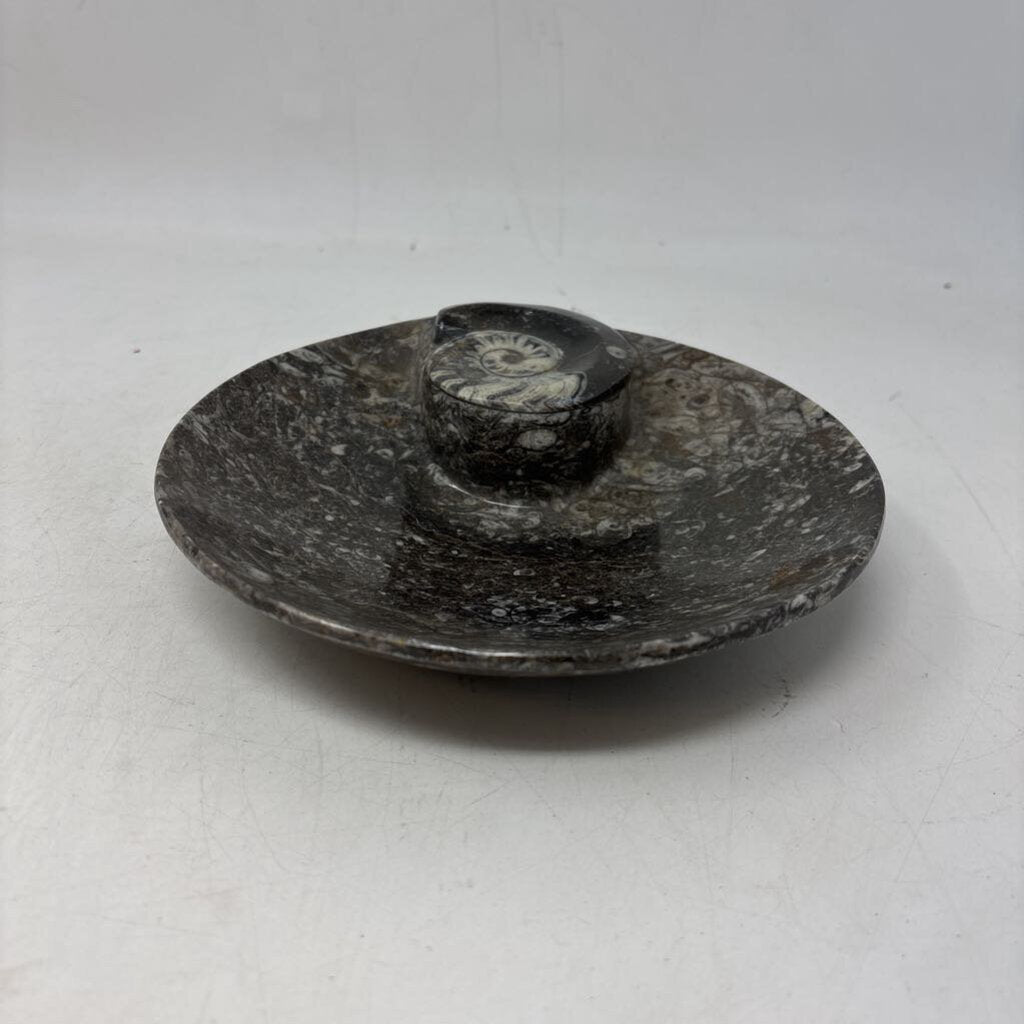 Orthoceras & Ammonite Fossil Bowl