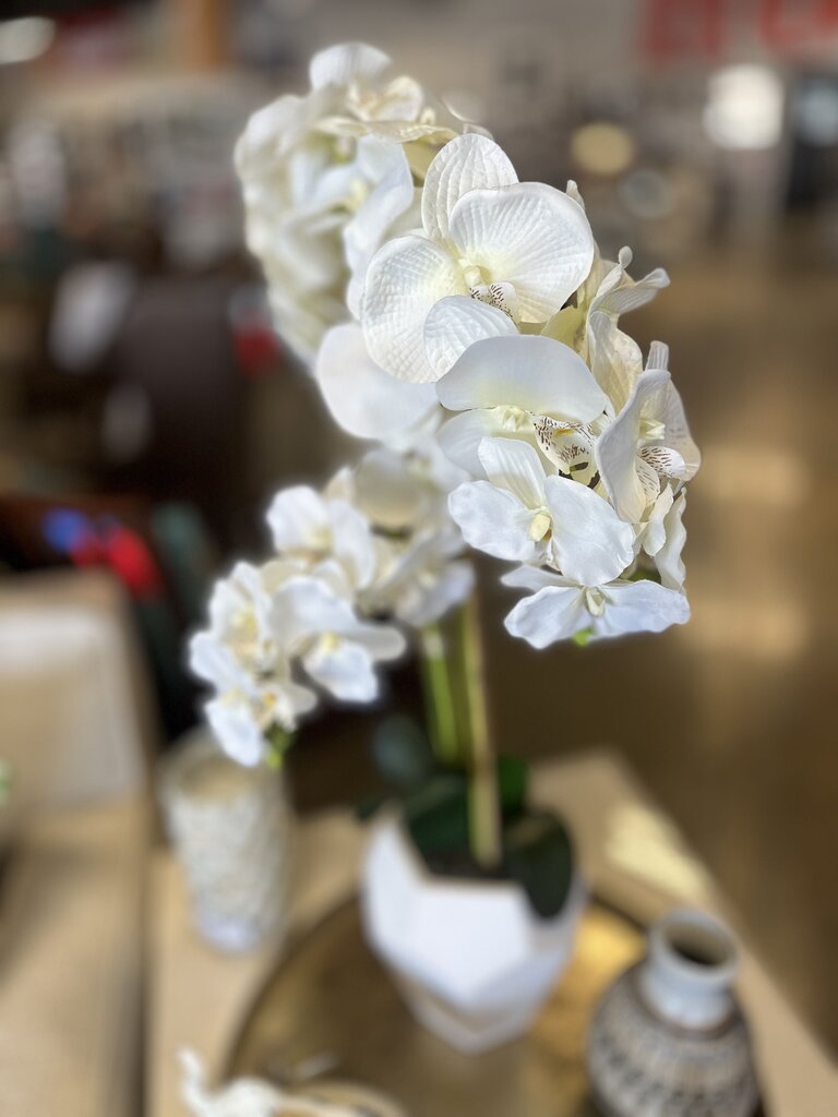 Large White Silk Potted Orchid 29"Tall