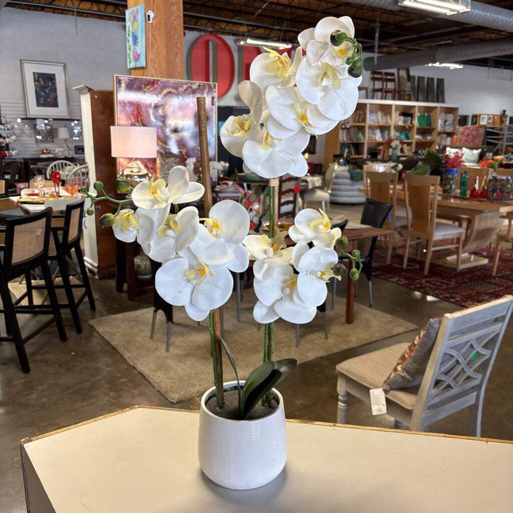 21" White Potted Orchid