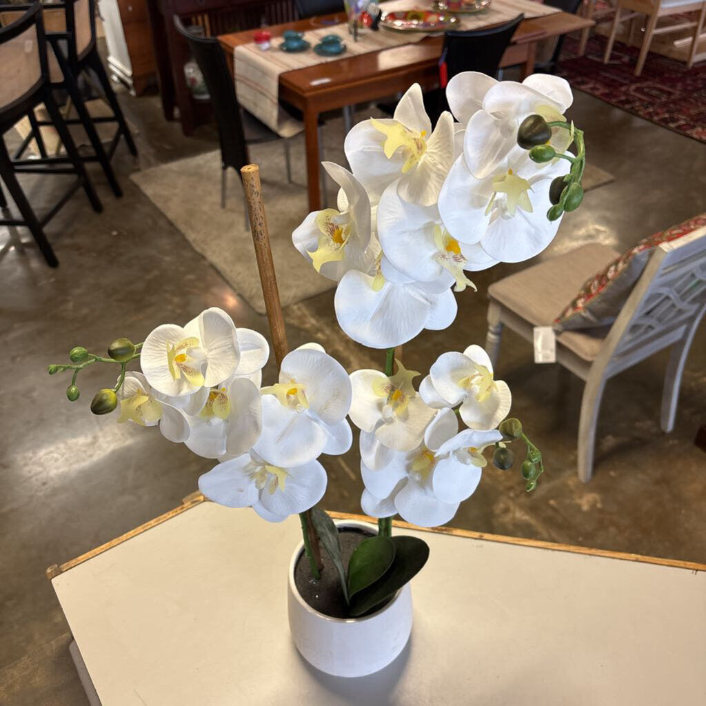 21" White Potted Orchid