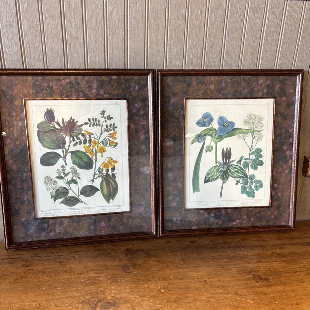 Set 2 Framed MCM Botanicals