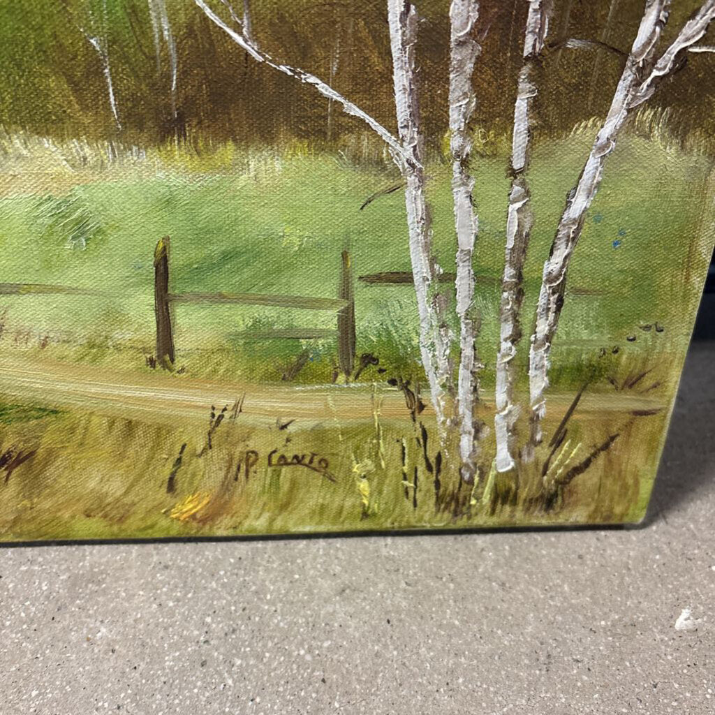 Original Red Barn By Paper Bark Trees