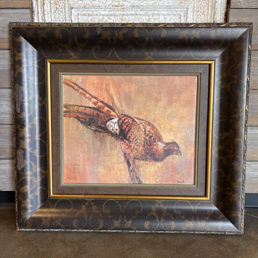 Framed Pheasant Print by Taylor 29.25 X 26.25