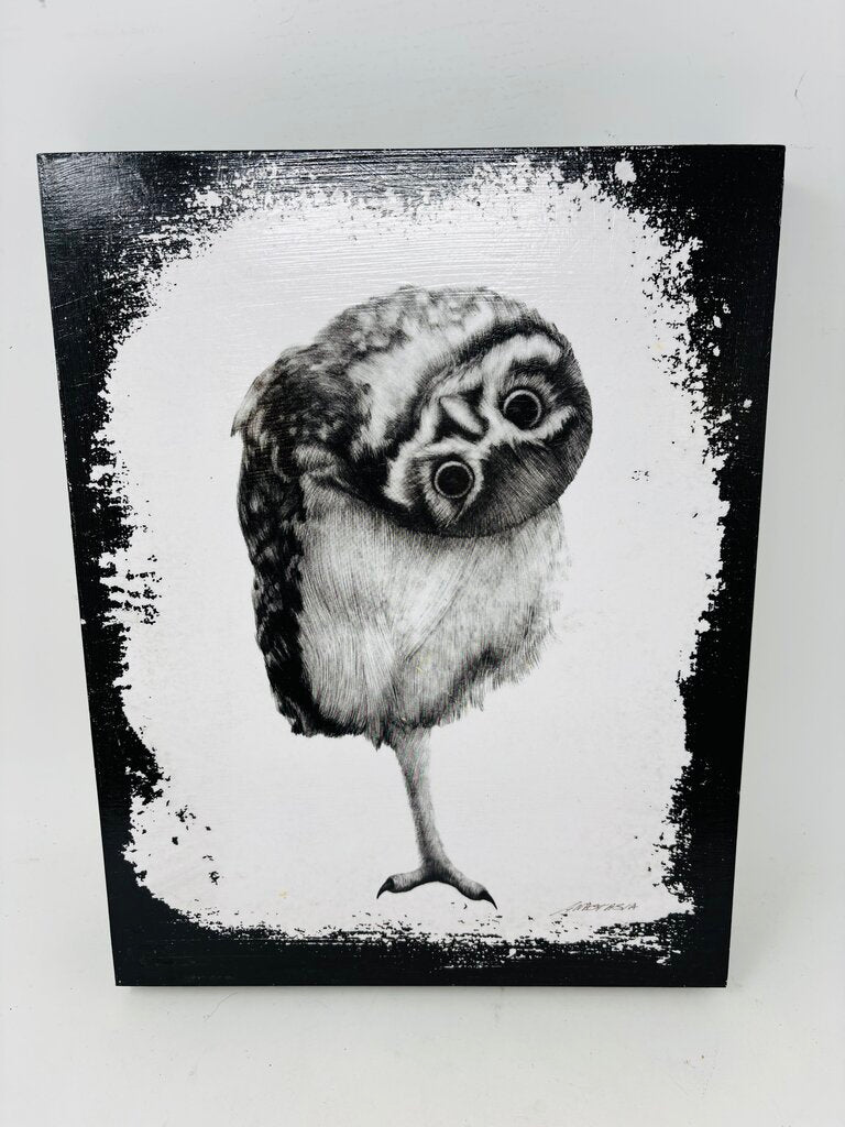 Owl Signed Anastasia Alexandrin 11 X 14.25