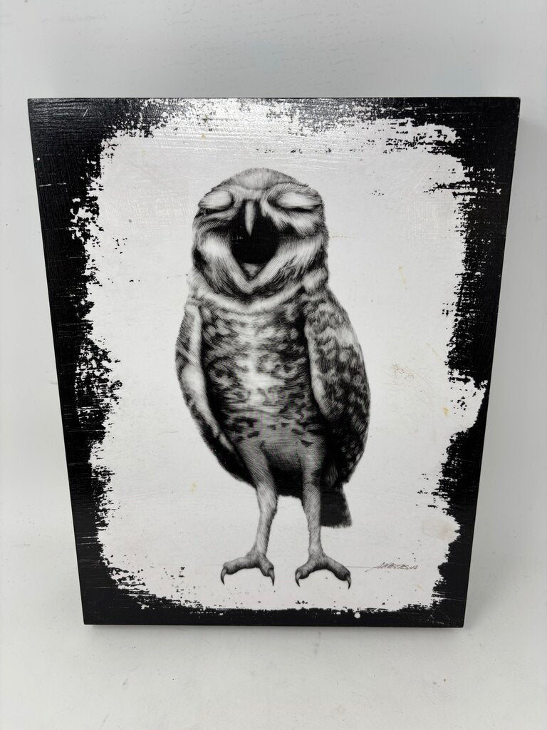Owl Signed Anastasia Alexandrin 11 X 14.25