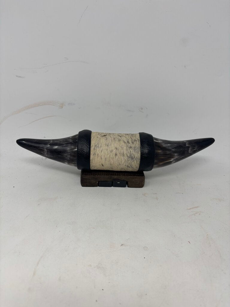 Small Longhorn Horn
