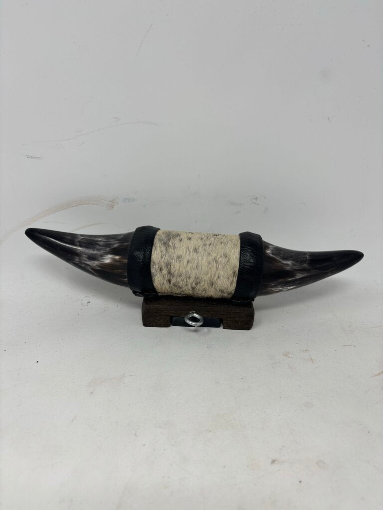 Small Longhorn Horn