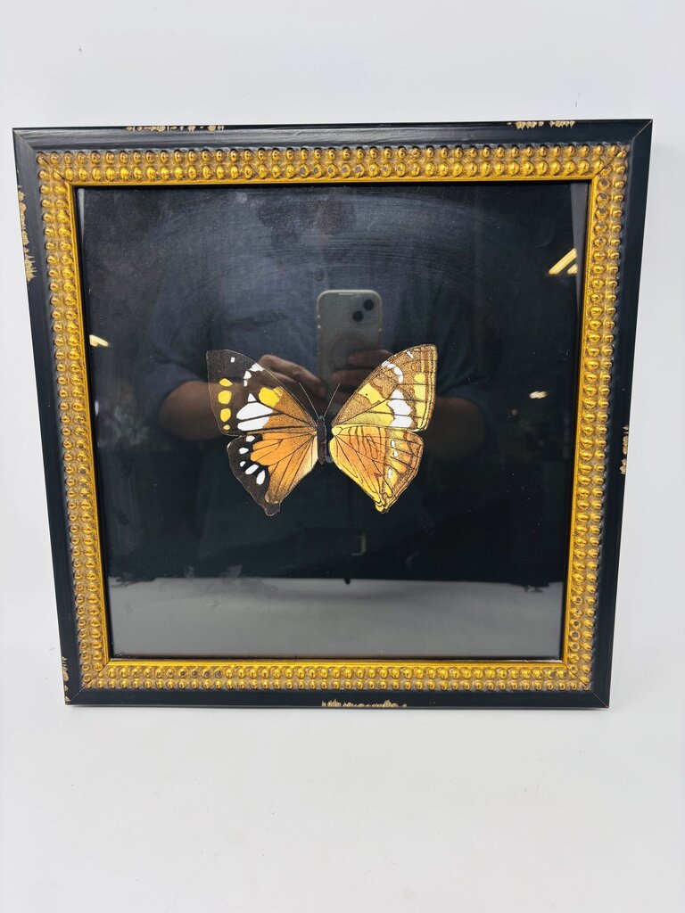 Butterfly in Distressed Frame 14 X 14