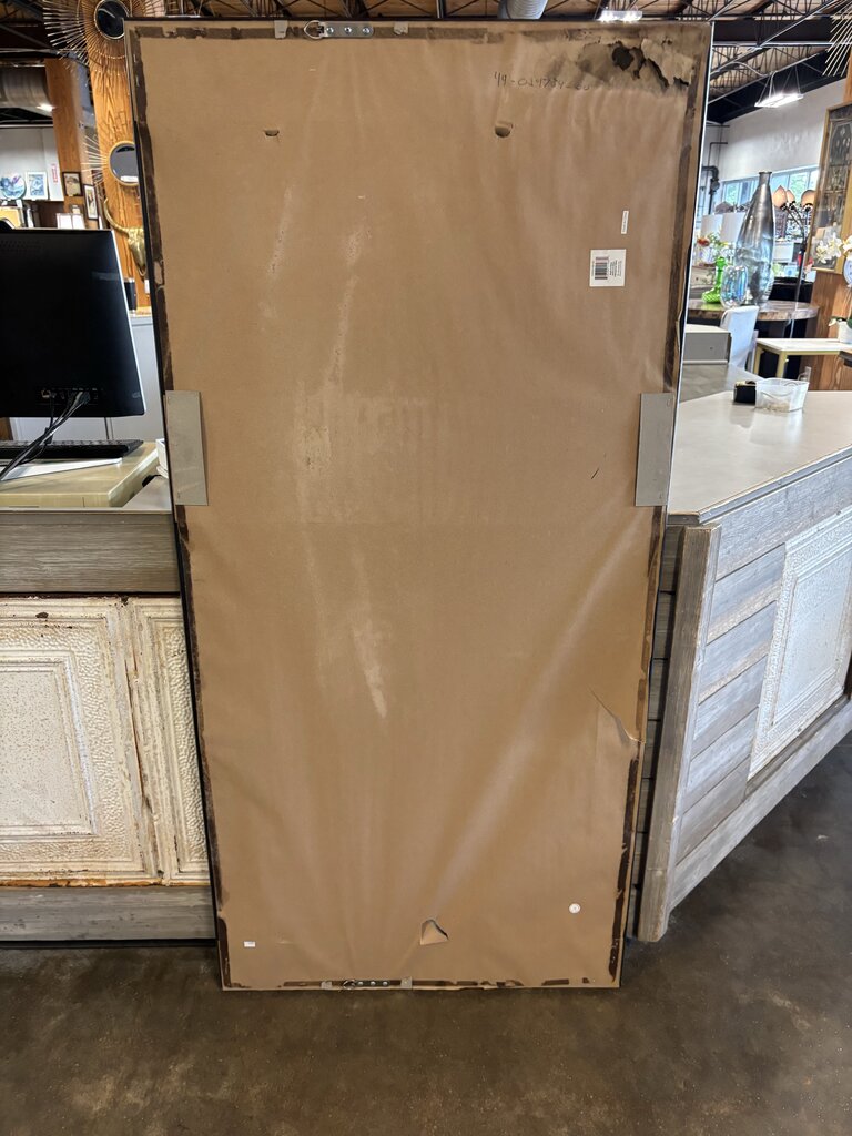 Framed Wall Mount Mirror 31 X 65.5 X 1