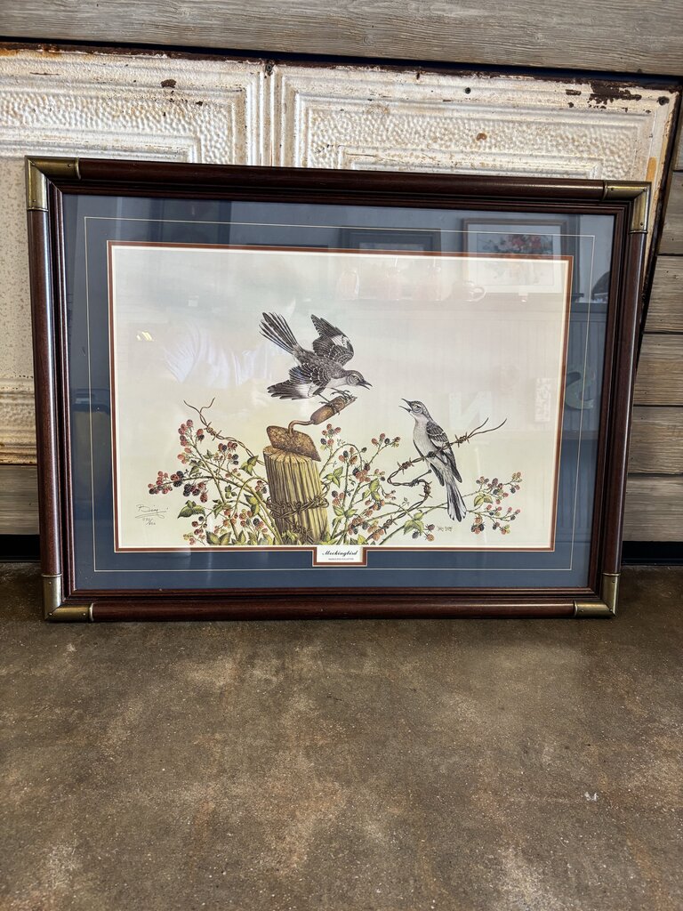 Framed Mockingbird Print 36.5 X 27.5