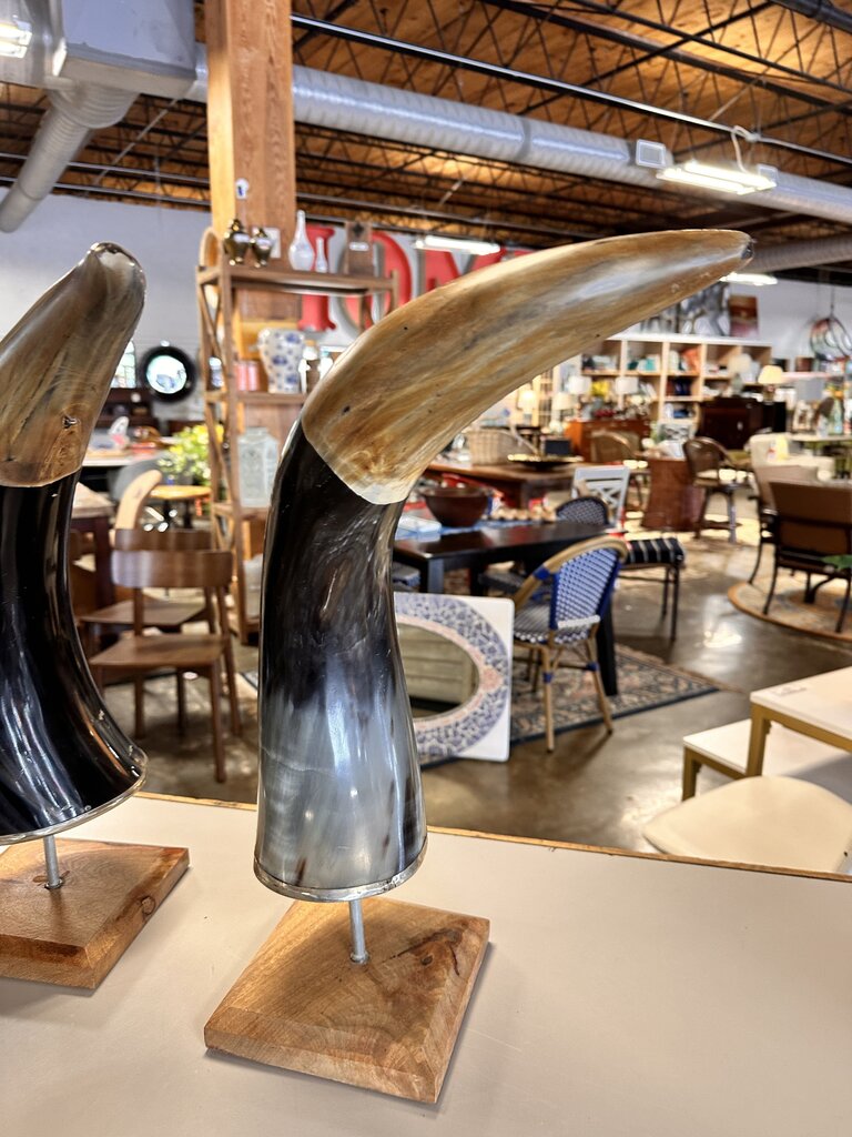 Longhorn Horn on Stand