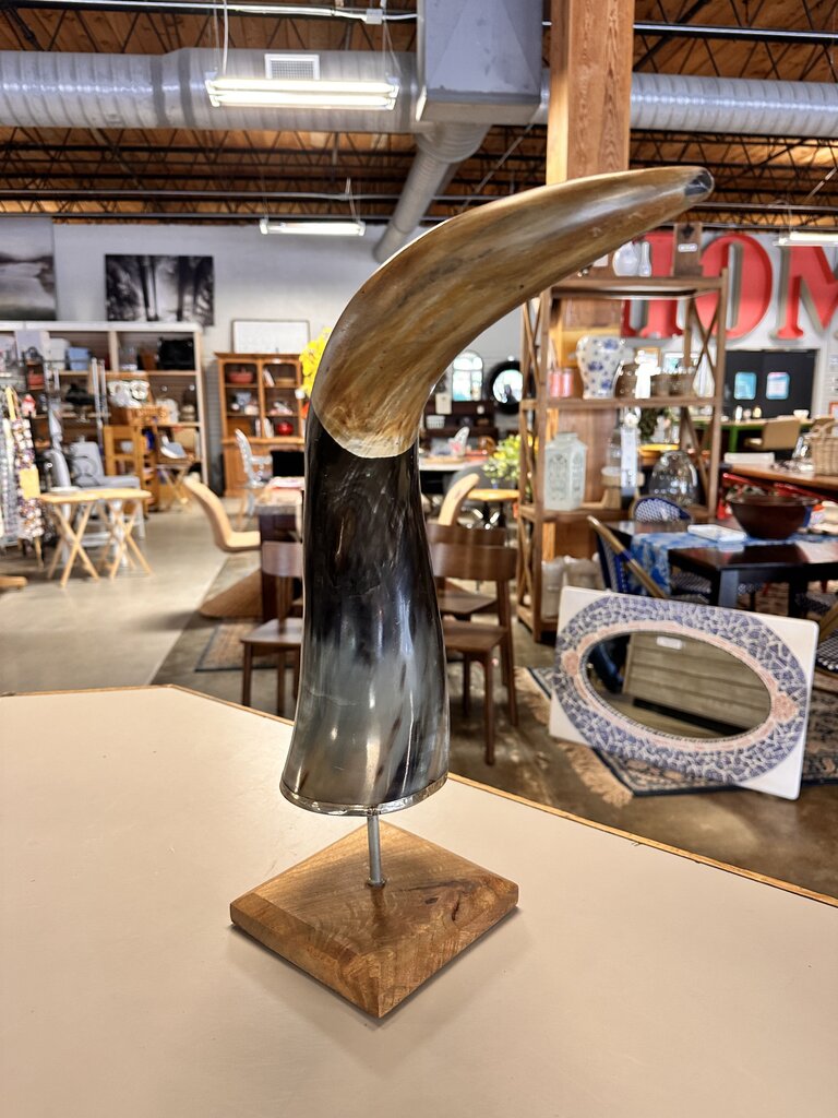 Longhorn Horn on Stand