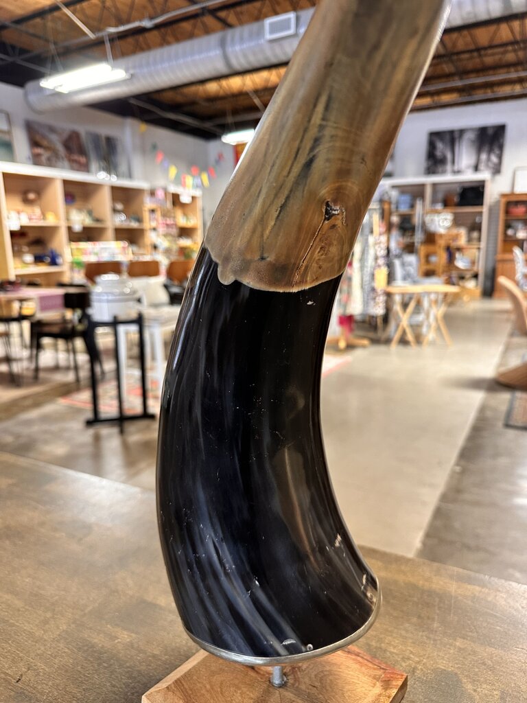 Longhorn Horn on Stand