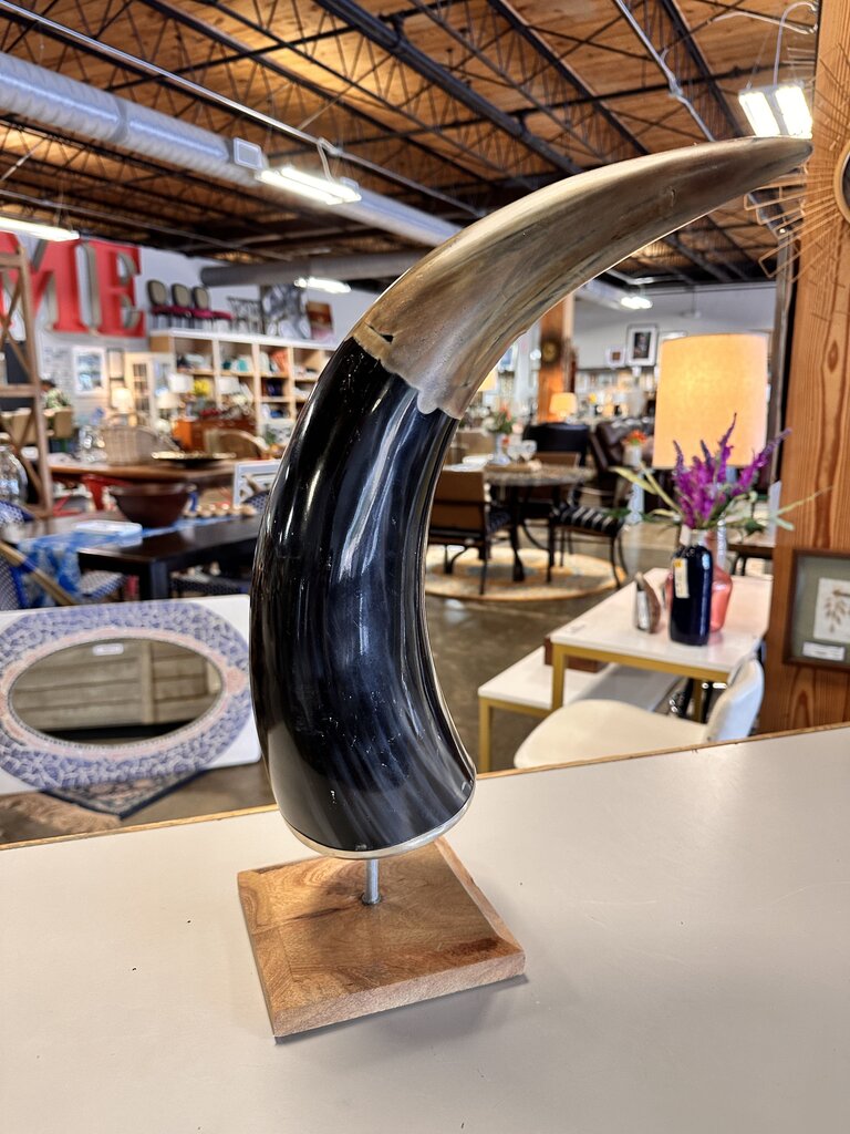 Longhorn Horn on Stand