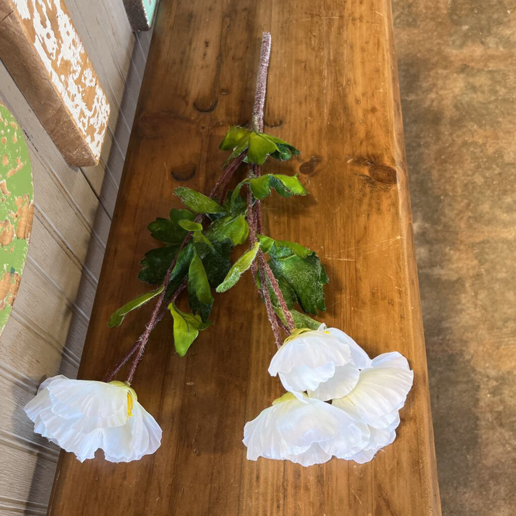 Poppy Bush Cream