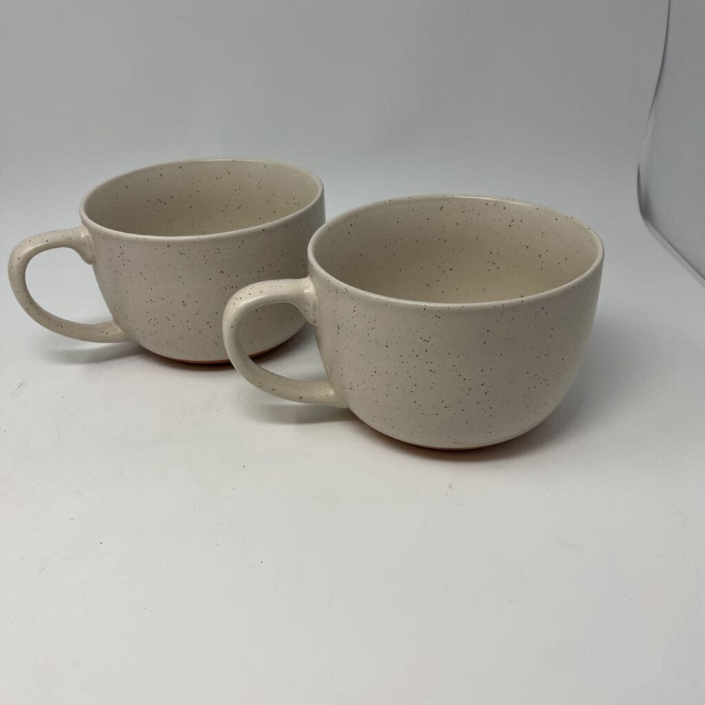 38oz Soup Mugs Pair