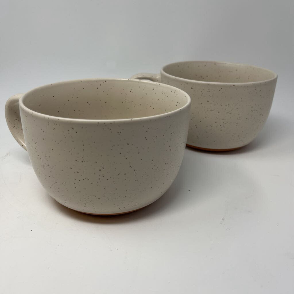 38oz Soup Mugs Pair