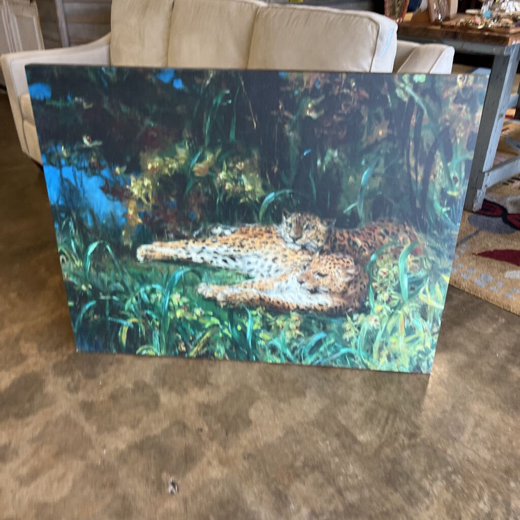 Indian Leopards John Macallan Swan 45x35