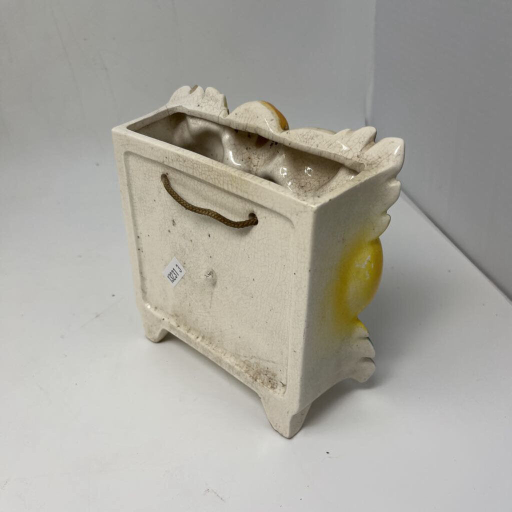 Vintage Fruit Wall Hung Planter