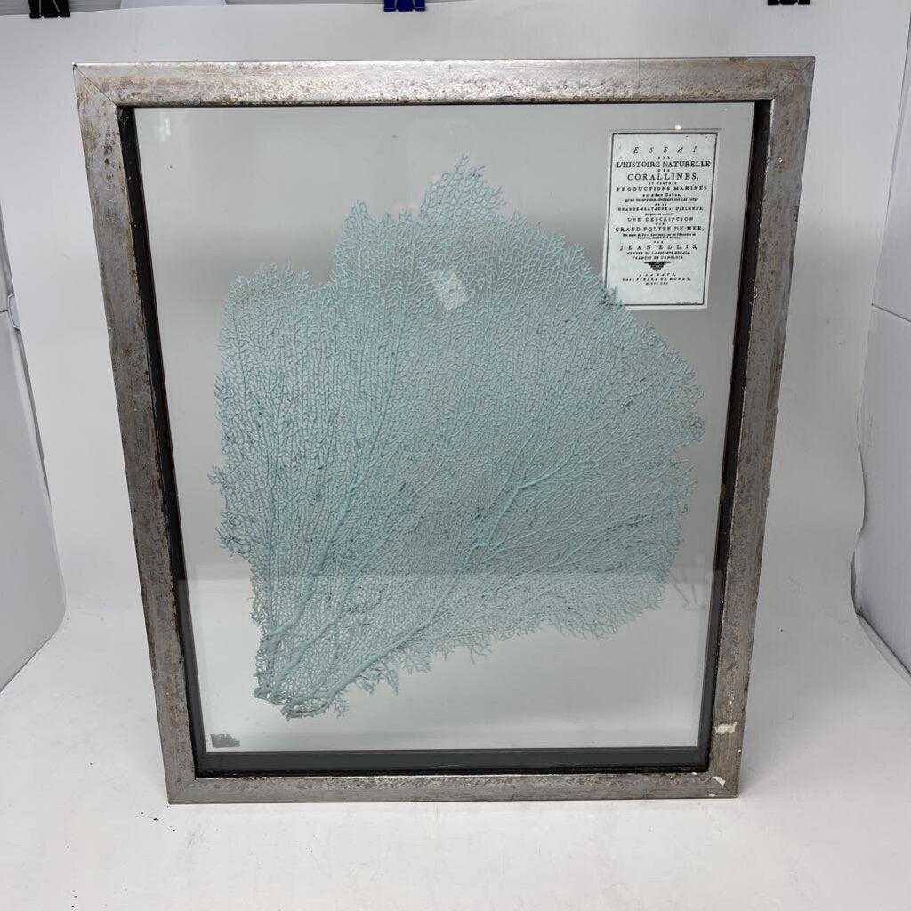 Framed Coral 18.5x15.5 (RT$325)