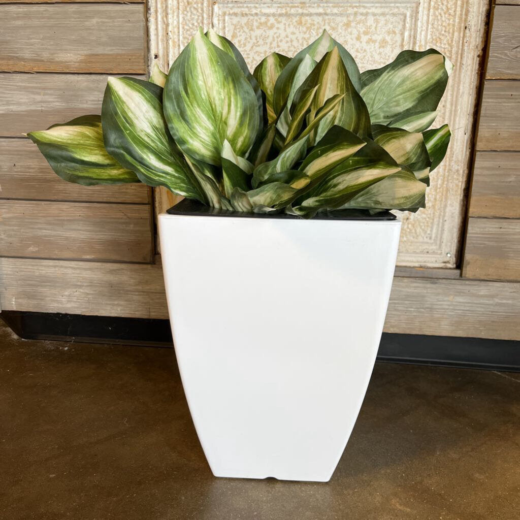Greenery in Planter