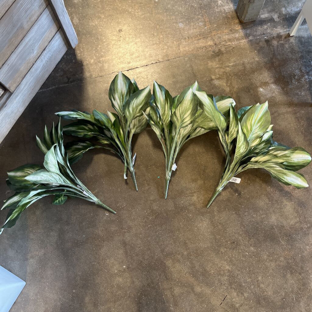 Greenery in Planter