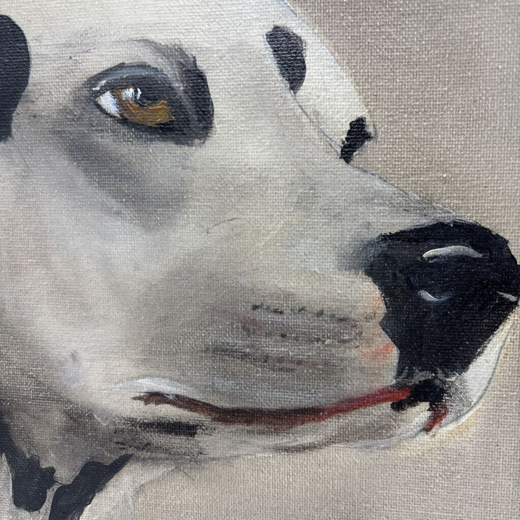 Dalmatian 14 X 11