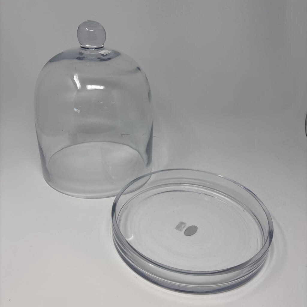 Glass Cloche with Tray
