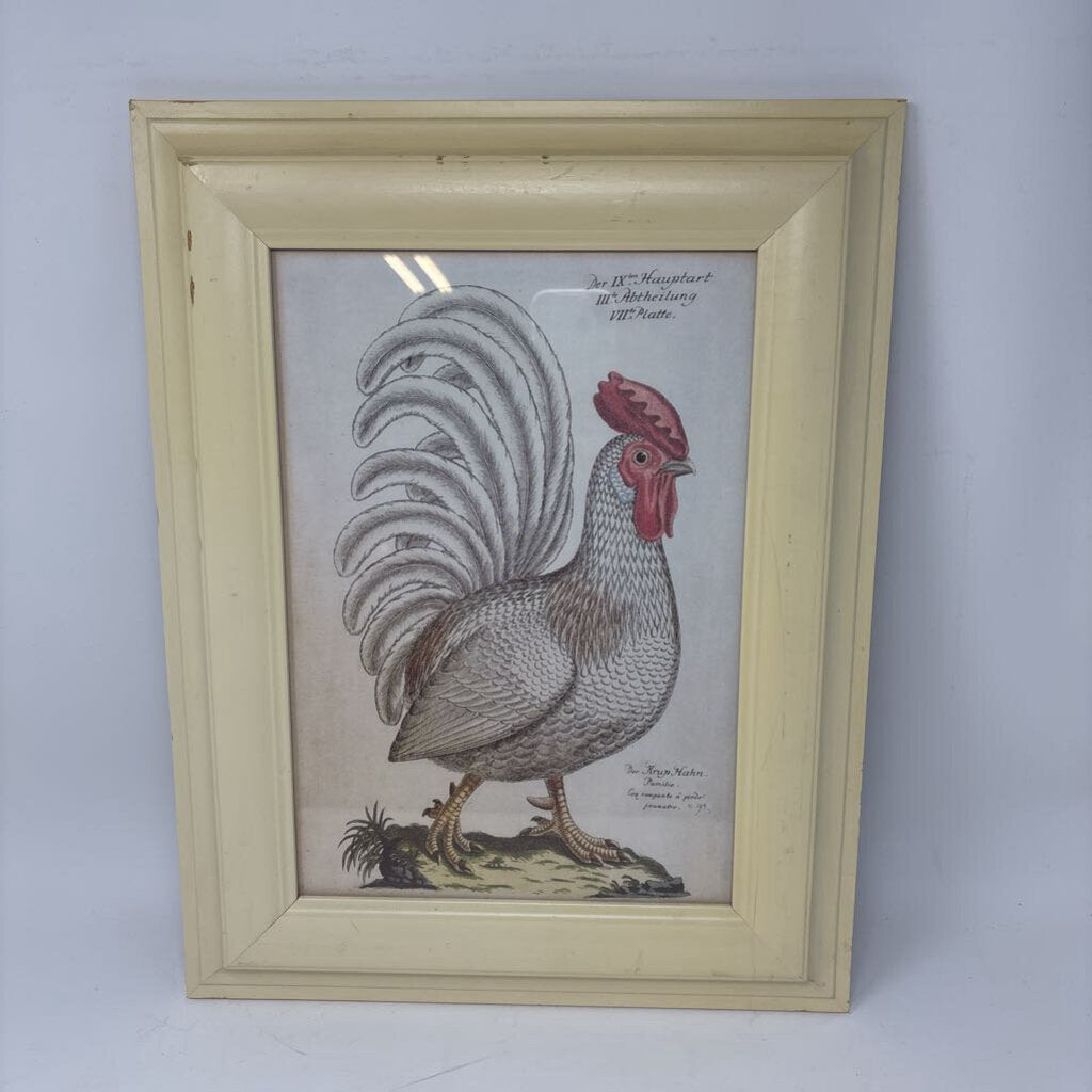 Framed Rooster Print 13.5 X 17.25