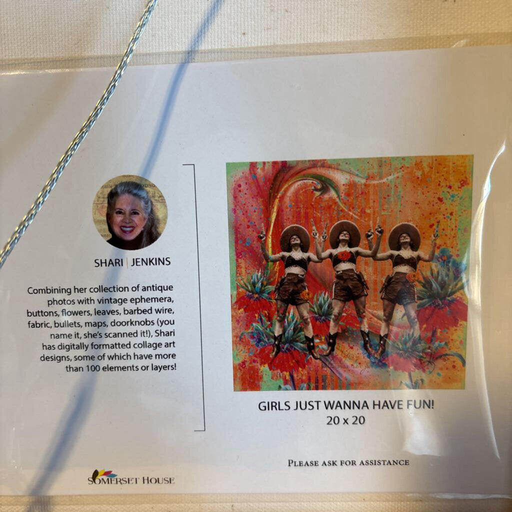 Girls Just Want to have Fun Sheri Jenkins