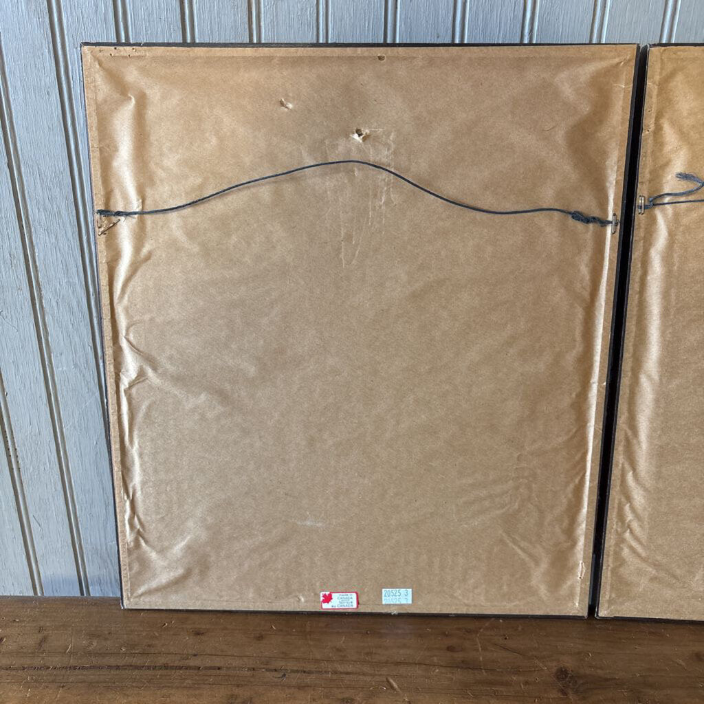 Set 2 Framed MCM Botanicals