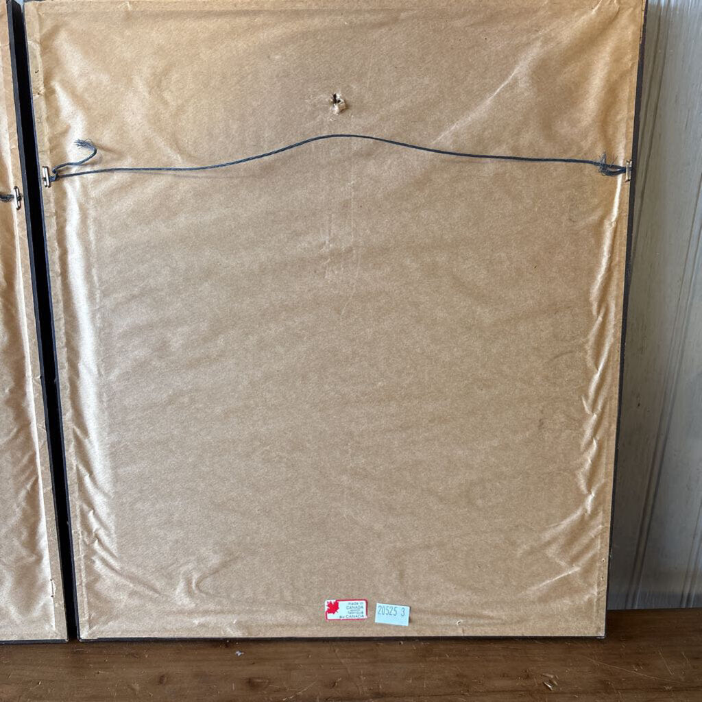 Set 2 Framed MCM Botanicals