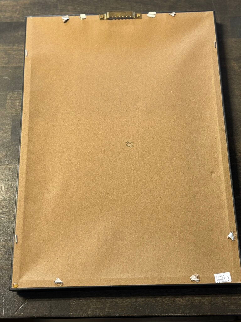 Framed Historical Botanicals