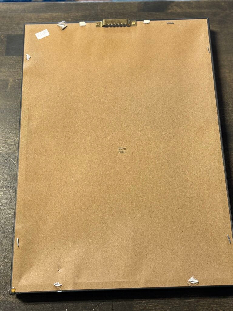 Framed Historical Botanicals