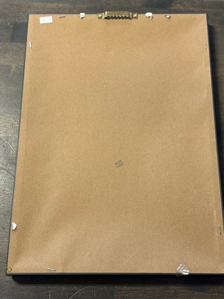 Framed Historical Botanicals