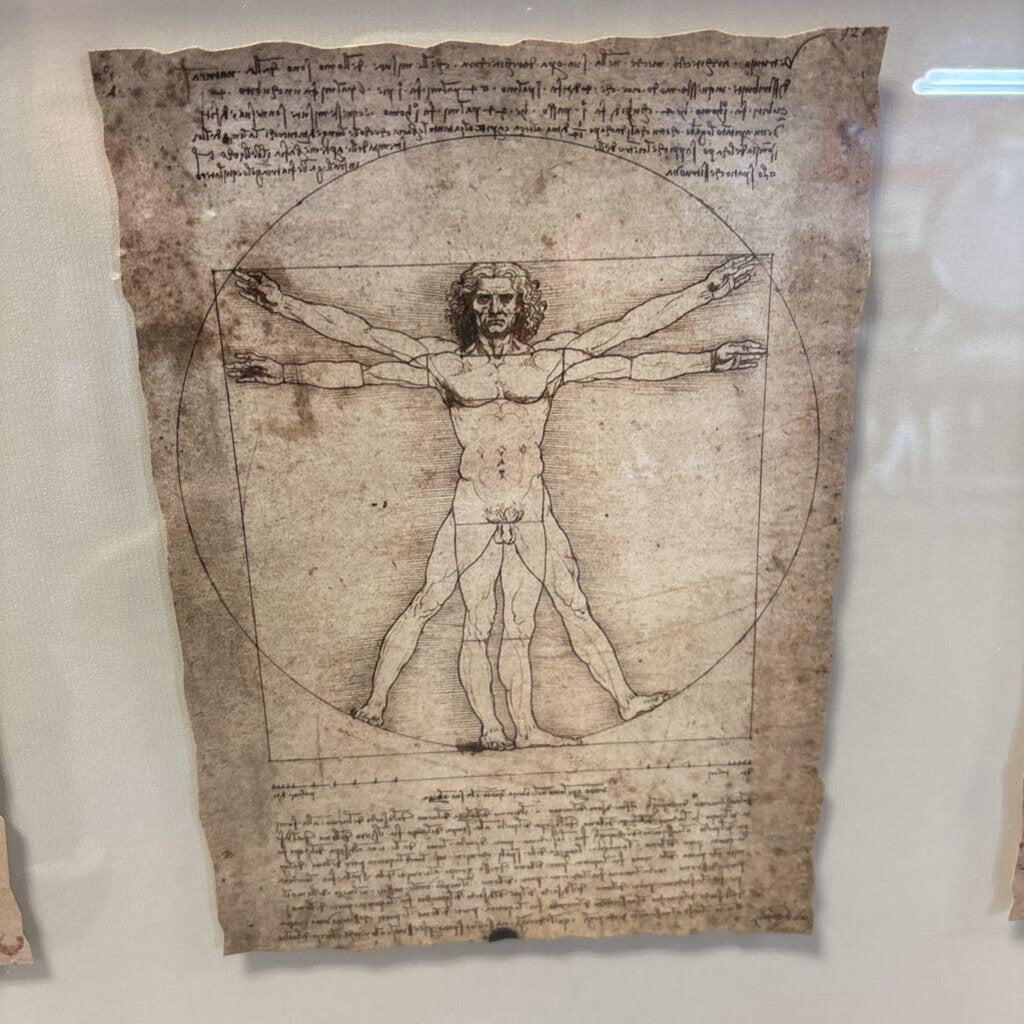 Framed Leonardo da Vinci Sketches