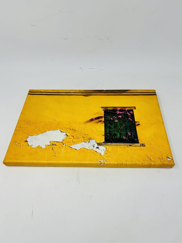 Closed Window Venice, Italy Signed/Numbered
