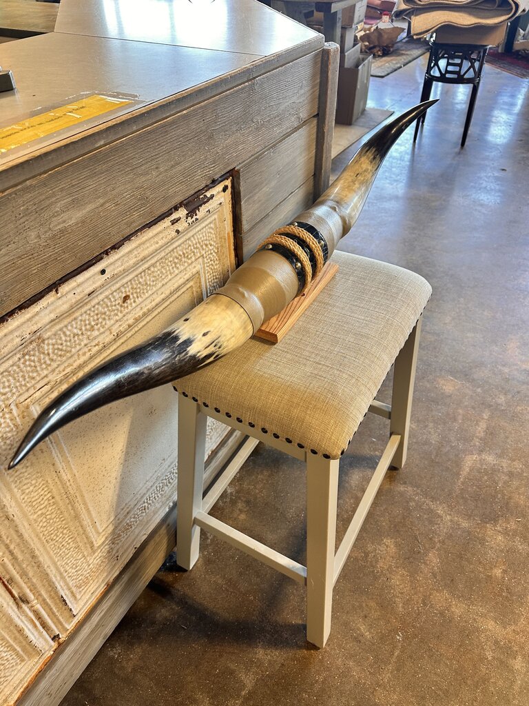 Mounted Longhorn Steer Horns
