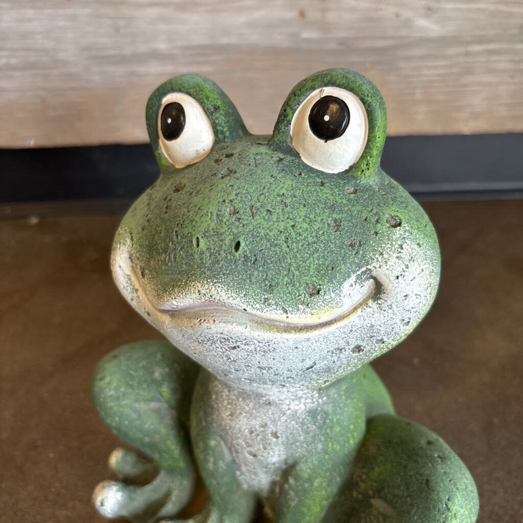 Outdoor Frog Deco