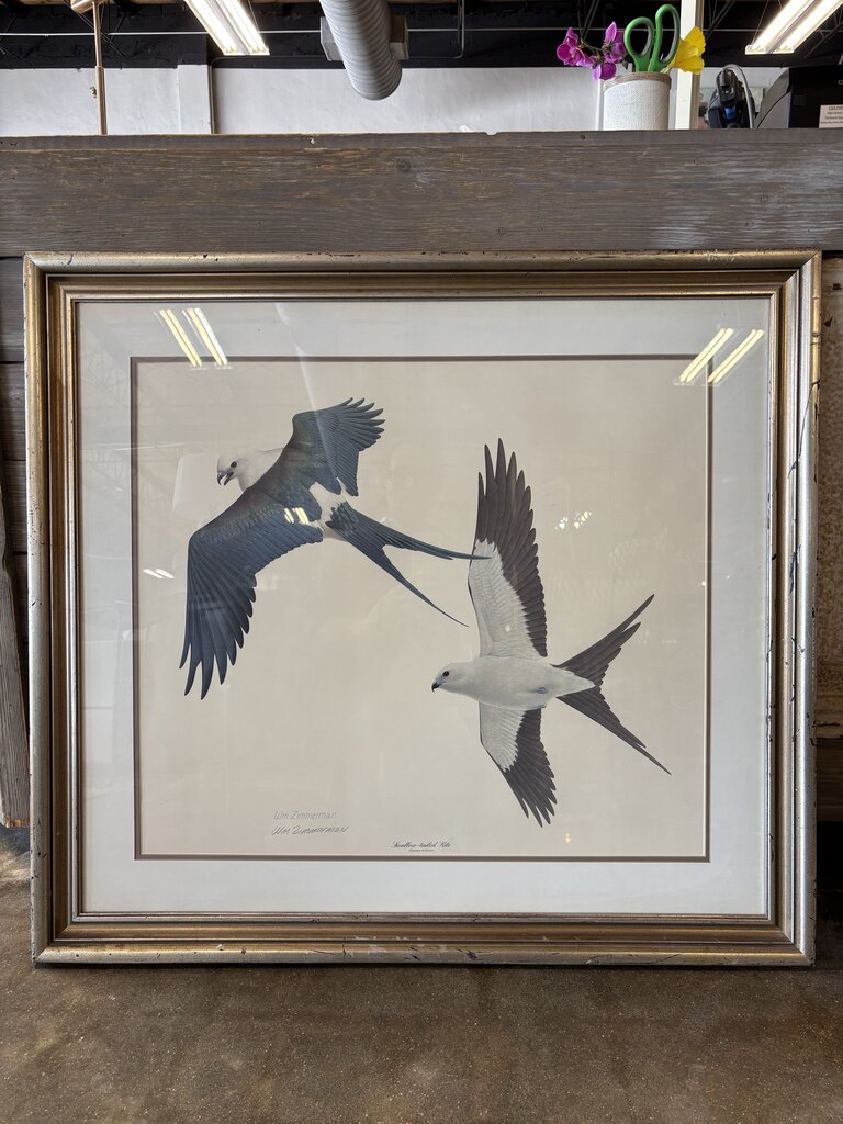 Swallow Tail Kite Art