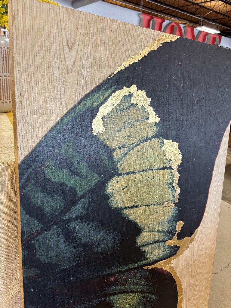Butterfly Wing on Wood 24 X 48 X 2