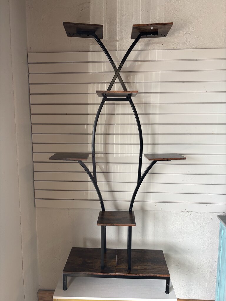 Tall Plant and Bookcase