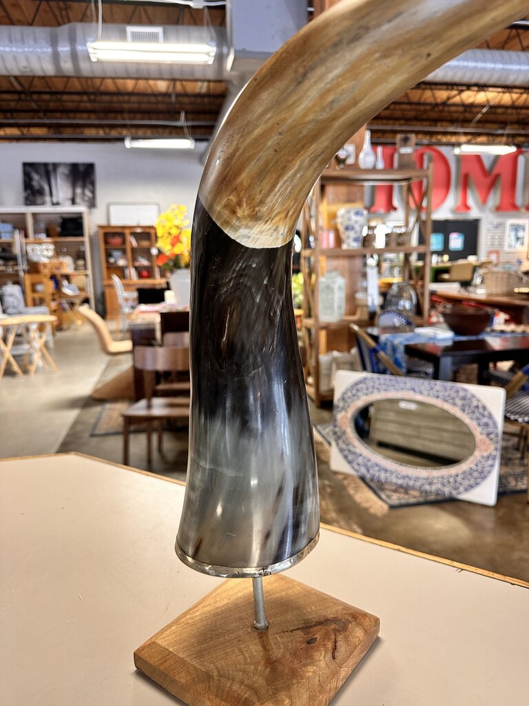 Longhorn Horn on Stand