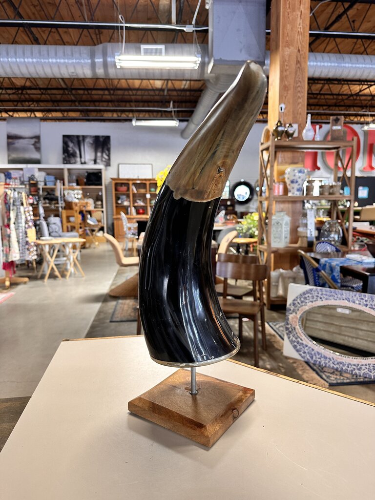 Longhorn Horn on Stand